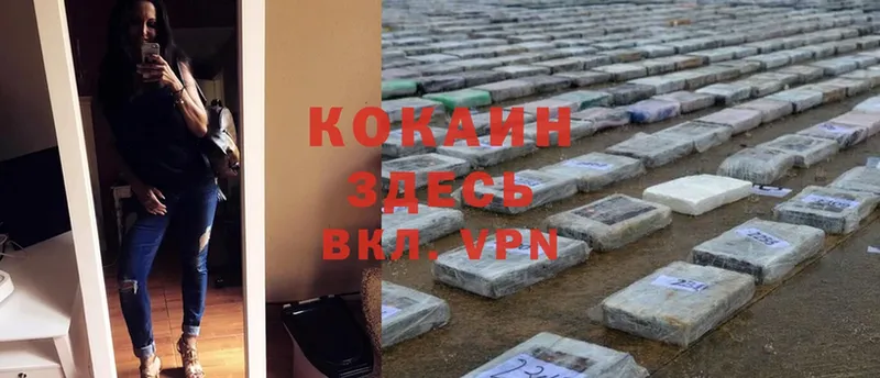 что такое   Канск  Cocaine FishScale 